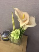 老板带我探秘南岸区高端水疗中心，体验极致足疗之旅